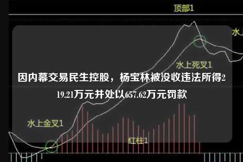 因内幕交易民生控股，杨宝林被没收违法所得219.21万元并处以657.62万元罚款