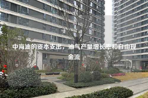 中海油的资本支出，油气产量增长率和自由现金流