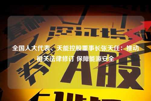 全国人大代表、天能控股董事长张天任：推动相关法律修订 保障能源安全