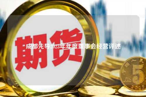 成都先导2023年年度董事会经营评述